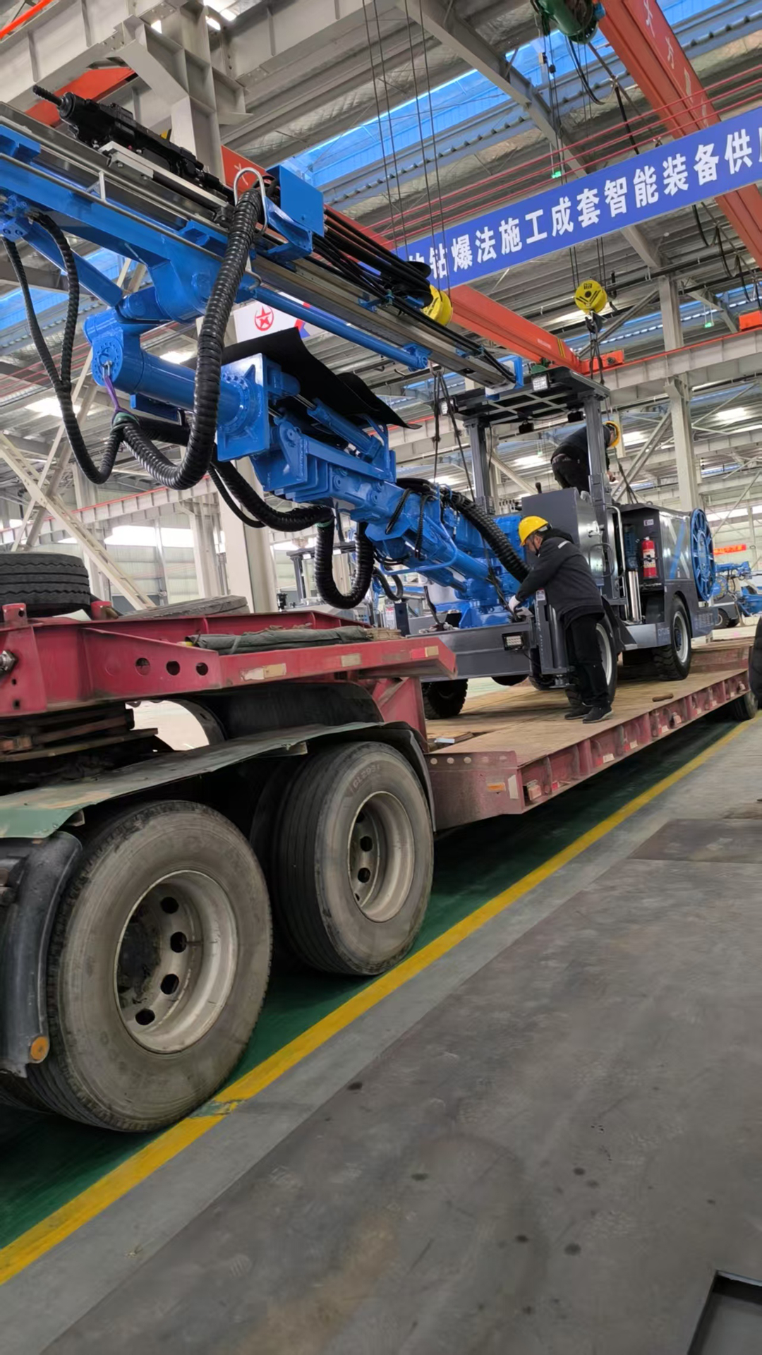 十大正规体育平台