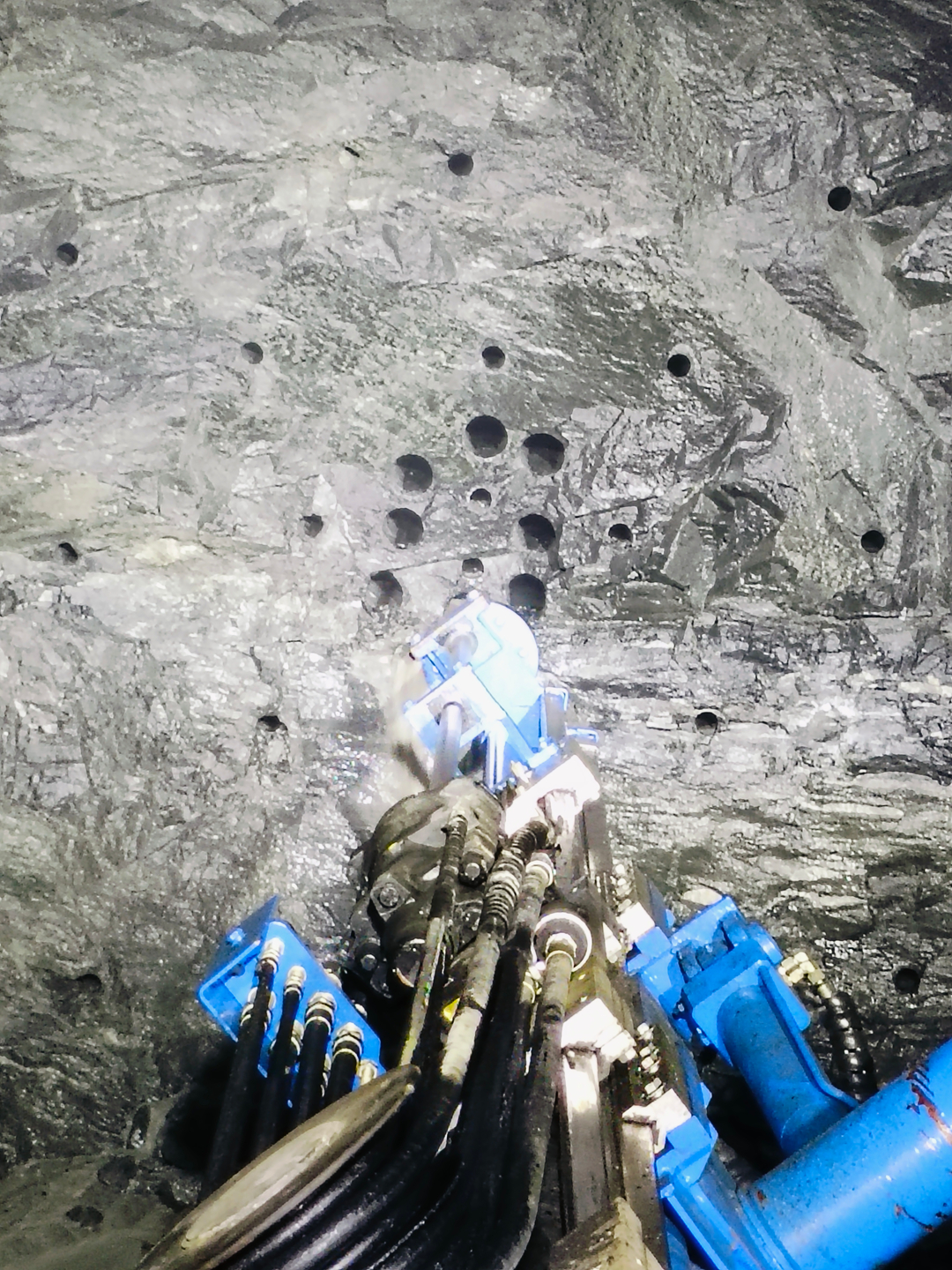 十大正规体育平台