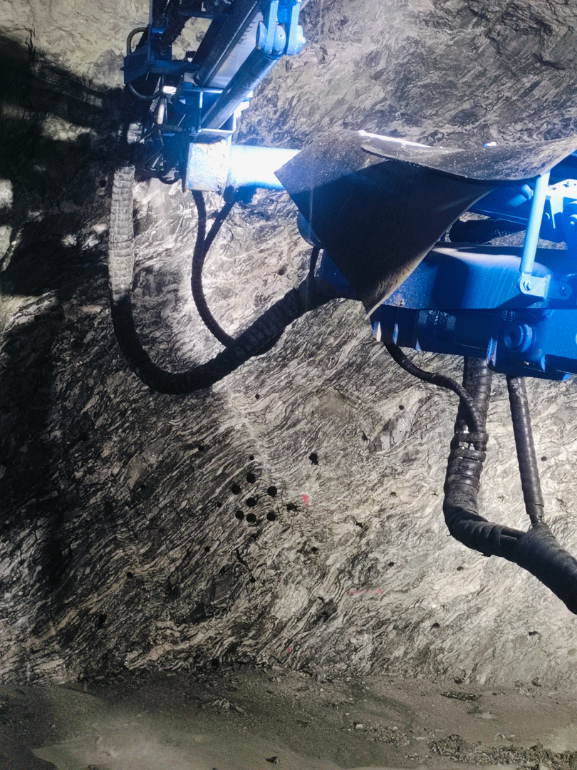 十大正规体育平台