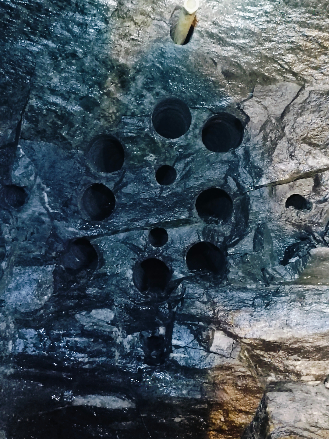 十大正规体育平台