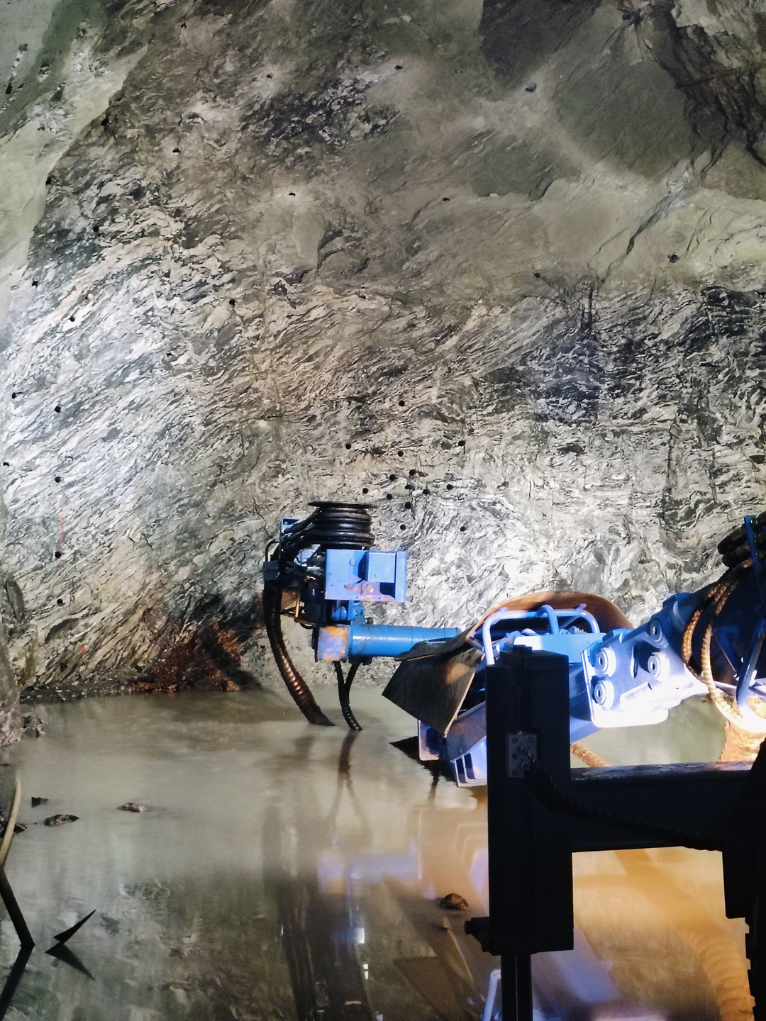 十大正规体育平台