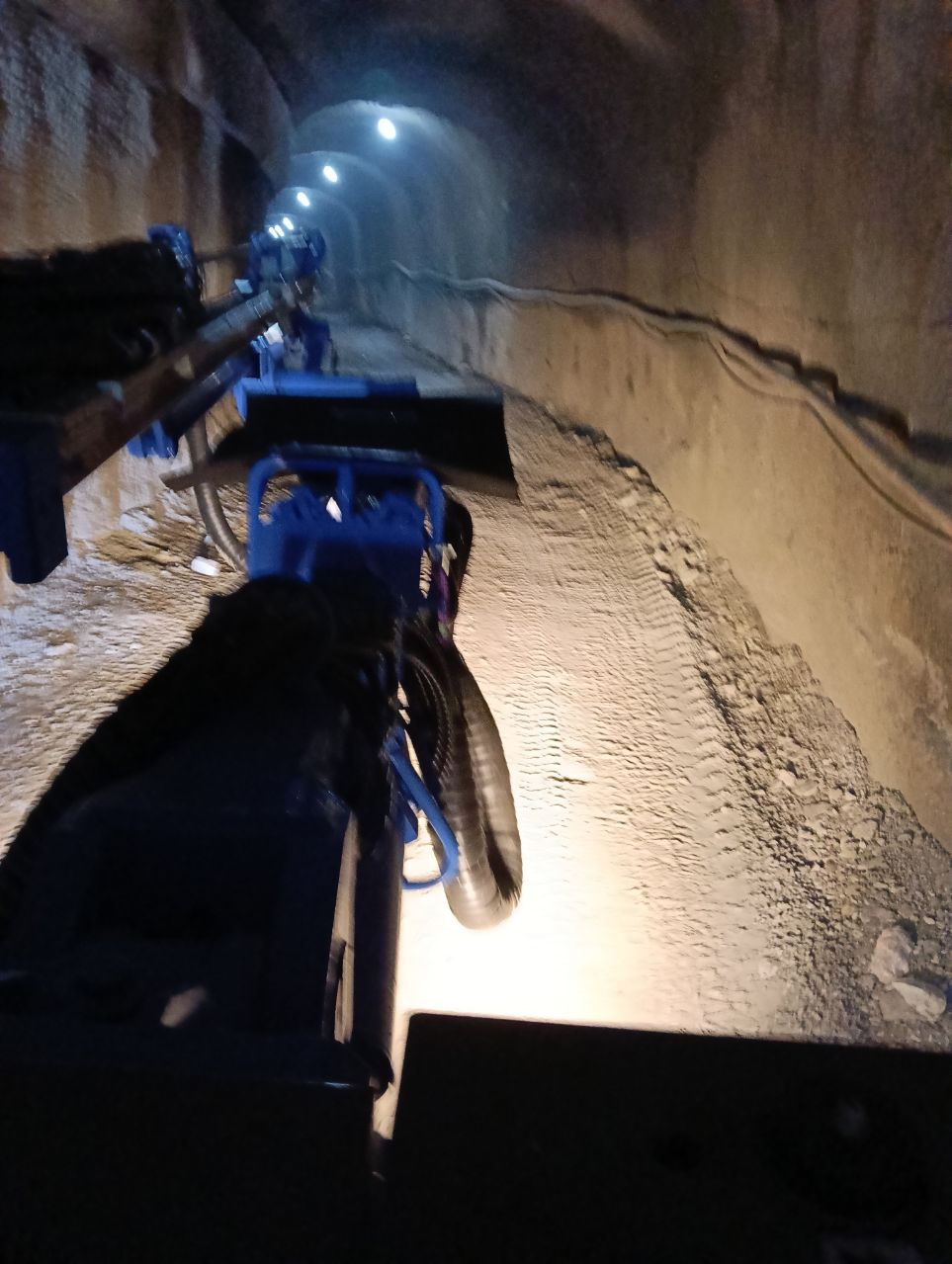 十大正规体育平台