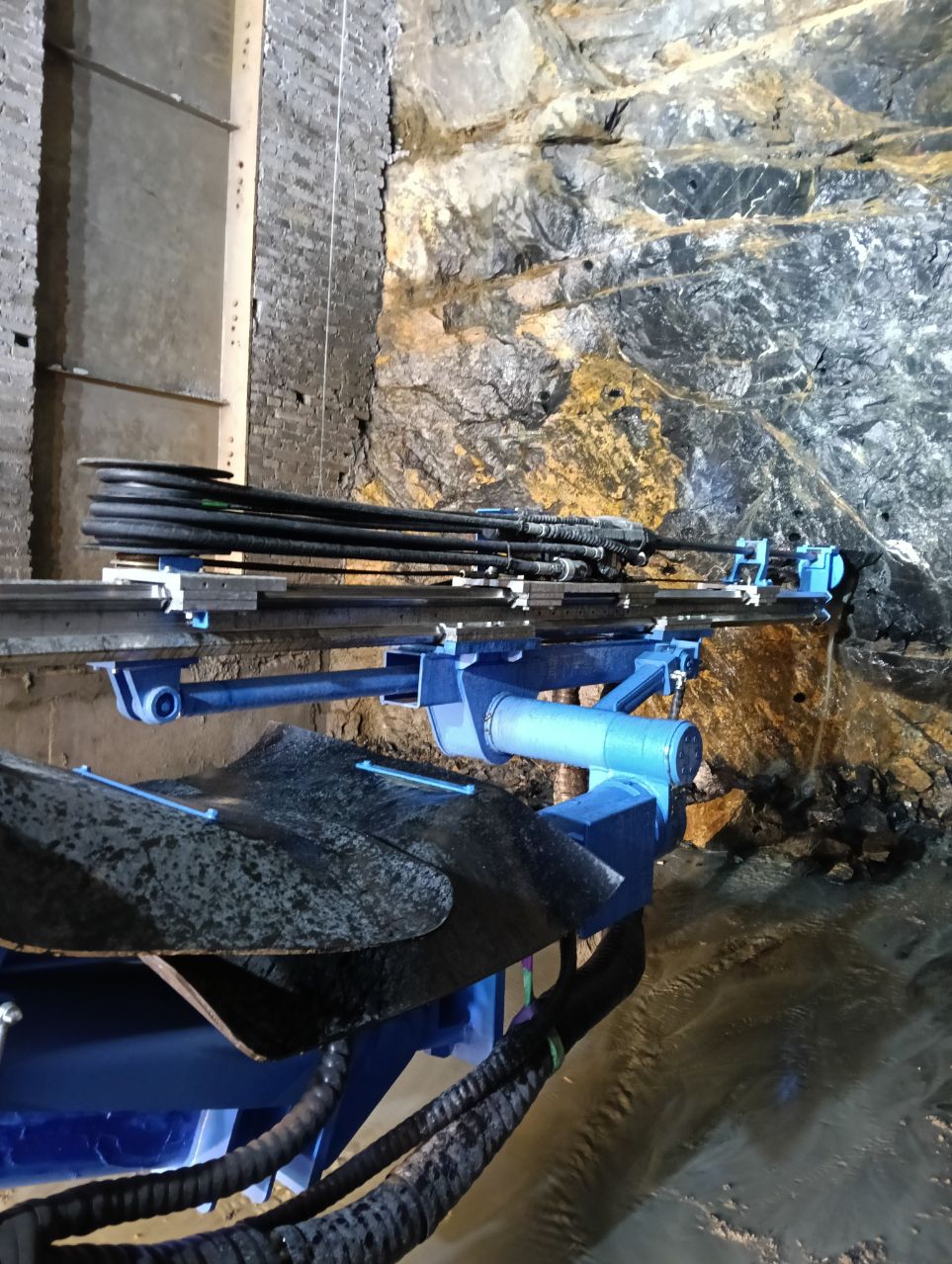 十大正规体育平台