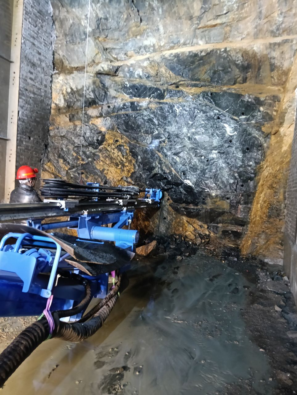 十大正规体育平台