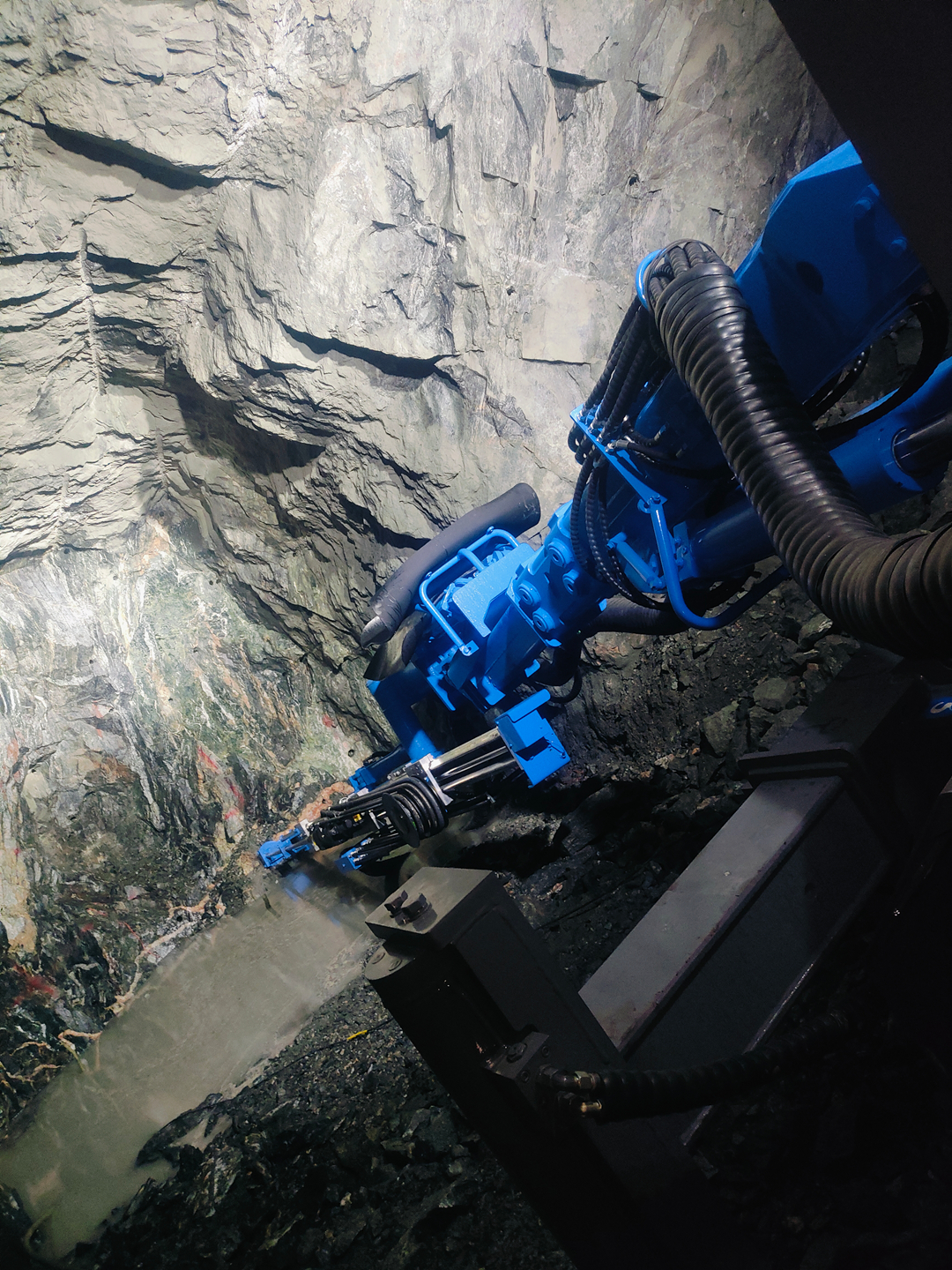 十大正规体育平台