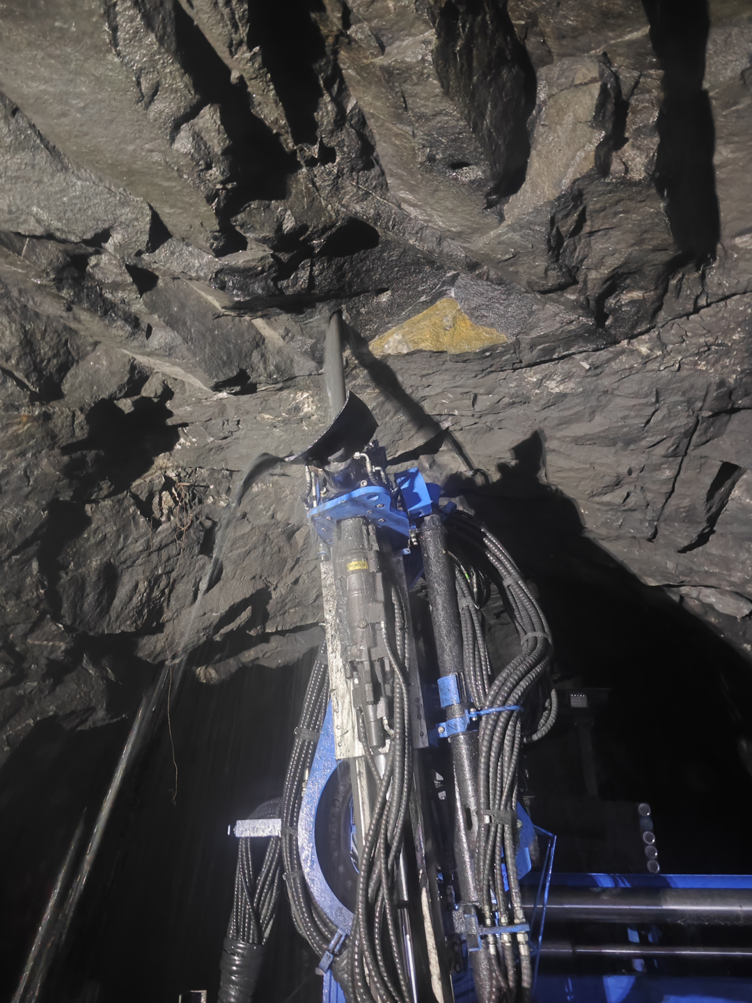 十大正规体育平台