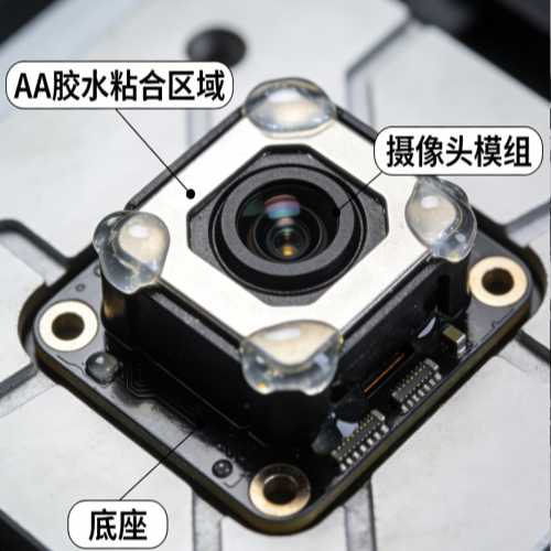 十大正规体育平台